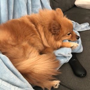 Meet your Posher, Daylynn